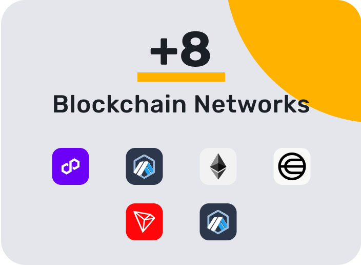 Blockchain Networks